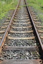 long iron train rail tracks to infinity with no people Royalty Free Stock Photo