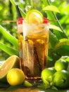 Long Island Iced Tea Cocktail on tropical Background Royalty Free Stock Photo