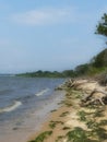 Long Island NY East End Beach Scene