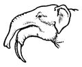 Long jawed Mastodon, vintage illustration