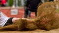 Long jump Royalty Free Stock Photo