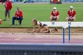 Long jump athlete landing in the sand pit Royalty Free Stock Photo