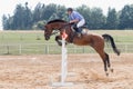 Long jump over a hurdle in equestrian competition