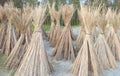 Long jute stick bunch, jute fibre, jute stick bunching for drying