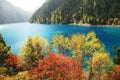 Long Lake of Jiuzhaigou in Autumn Royalty Free Stock Photo