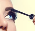 Long lashes closeup. Beautiful woman applying mascara on her eyes Royalty Free Stock Photo