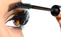 Long lashes closeup. Beautiful woman applying mascara on her eyes Royalty Free Stock Photo