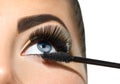 Long lashes closeup. Beautiful woman applying mascara on her eyes Royalty Free Stock Photo