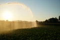 This is agriculture requires artificial irrigation Royalty Free Stock Photo