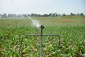 This is agriculture requires artificial irrigation Royalty Free Stock Photo