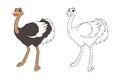 long legged cute ostrich coloring book for kids. Vector isolated line art illustration, cartoon style