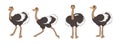 Long legged cute ostriches, set of figures, standing, running and screaming. Vector illustration of lines art, in