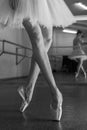 Long legs of ballerina in toeshoe