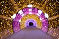 Long light tunnel Royalty Free Stock Photo