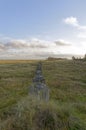 A long line of Anti Tank Traps build by Polish Soldiers in World War Two seen at Tentsmuir