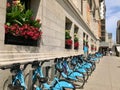 Line of blue public bicycles under window boxes of red flowers in front of the Chicago Cultural Center