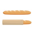 Long loaf of bread. Fresh baguette, vector illustration