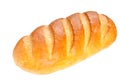 Long loaf bread on white background