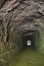 Long Los Tilos Trail Tunnel, La Palma Royalty Free Stock Photo