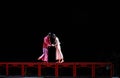 The long love road-The first act of dance drama-Shawan events of the past