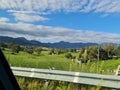 The long lush Australian road and farm