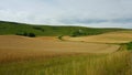 TheÃÂ Long Man of WilmingtonÃÂ is aÃÂ hill figureÃÂ on the steep slopes of Windover Hill nearÃÂ Wilmington, East Sussex, England Royalty Free Stock Photo