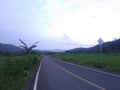 LONG MILE ROAD AND FRESH NATURE