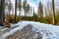 Long mountain trail full of fresh snow and ice Royalty Free Stock Photo