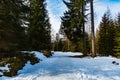 Long mountain trail full of fresh snow and ice Royalty Free Stock Photo