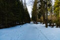 Long mountain trail full of fresh snow and ice Royalty Free Stock Photo