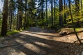 Long mountain trail in Jizera Mountains