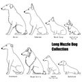 Long muzzle dog collection