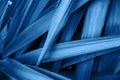Long narrow interwoven palm tree leaves pattern toned in trendy color classic blue. Tropical nature background Royalty Free Stock Photo