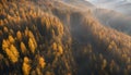 long narrow panorama autumn landscape forest in evening er