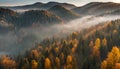 long narrow panorama autumn landscape forest in evening fog