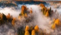 long narrow panorama autumn landscape forest in evening fog