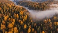 long narrow panorama autumn landscape forest in evening fog drone