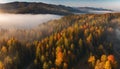 long narrow panorama autumn landscape forest in evening fog