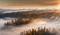 long narrow panorama autumn landscape forest in evening fog