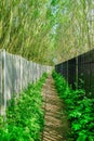 Long narrow passage with fence and railings