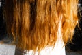 Long natural red hair back view