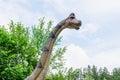 Long neck dinosaur Brachiosaurus model in Dinosaur Park Royalty Free Stock Photo