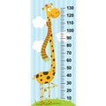 Long neck giraffe height measure