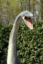 Long Neck and Head of Plesiosaurus Dinosaur Model