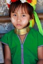 Long Neck Tribe,Thailand Royalty Free Stock Photo
