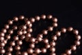 Long necklace of brown beads on a dark background Royalty Free Stock Photo