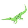 Long nose lizard icon, isometric style