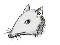 Long-Nosed Bandicoot Endangered Wildlife Cartoon Retro Drawing