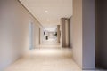 Long office hallway modern design, empty and clean interior