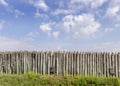 Long old paling of sharpened logs on sky background Royalty Free Stock Photo